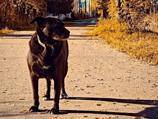 Синоптики рассказали, что 30 октября станет последним теплым днем перед похолоданием