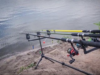 Удачные дни для рыбалки в ноябре 2025 года по лунному календарю