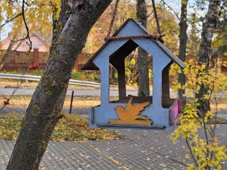 Первые ноябрьские выходные принесут в Подмосковье зимнюю прохладу