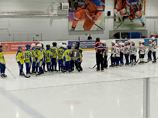 Турнир в честь трехкратного чемпиона мира по хоккею с мячом прошел в округе