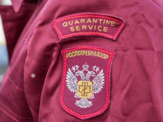 Роспотребнадзор проверит магазин на улице Нестеренко после жалобы жителей на мусорную свалку