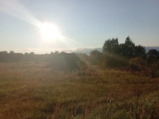 Земля за копейки и без ажиотажа: в деревне Новая нашли участок, который почти не подорожал на торгах