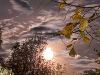 Гороскоп для всех знаков Зодиака на 1 ноября 2025: Близнецов, Львов ждет признание и успех, а Ракам, Девам нужно быть осторожными, чтобы не потерять все