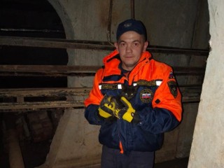 В Волоколамском округе спасатели освободили котенка из вентиляционной шахты МКД