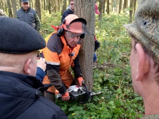 Лесничие Мособллеса завершили курсы по валке леса в Красногорске