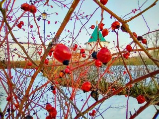 Осенние холода вернутся в Талдом в начале рабочей недели