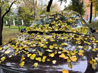 Как долго будет держаться аномальное тепло в Подмосковье, рассказал синоптик Ильин