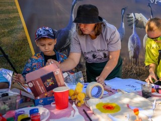 Жители Подмосковья приглашаются на конкурс поделок о птицах