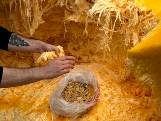 Дачник из Электрогорска сообщил о «гибели Вульфа»