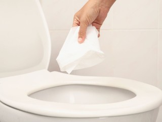 Туалетом будут учить пользоваться через «Госуслуги»? Победить засоры поможет приложение