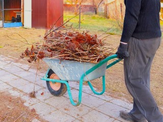 Что сделать на участке в октябре: советы для дачников