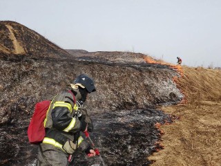 Лобненцам напомнили о правилах, которые помогут избежать пожара осенью