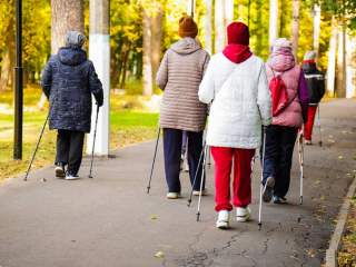 От скандинавской ходьбы до лектория: парк им. Гагарина раскрыл программу активностей на неделю