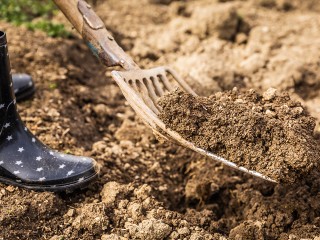 Подробный лунный посевной календарь огородника и садовода на ноябрь 2025 года