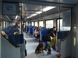 Уголовная ответственность может наступить за мат в автобусе