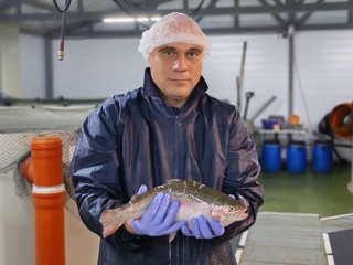 Шатурская форель: грант помог хозяйству расширить производство в два раза