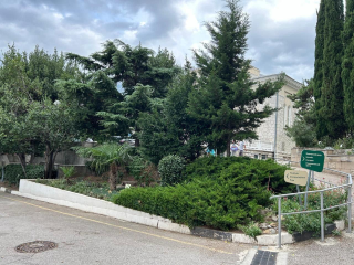 Подмосковные льготники могут оздоровиться бесплатно