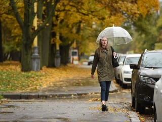 Без солнца, но в тепле: какая погода ждет Московский регион на ноябрьские праздники