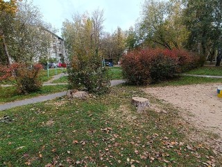 Опасное дерево спилили во дворе на Московской