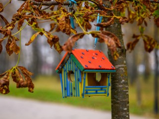 Осень в Одинцове: синоптики прогнозируют затяжные осадки и похолодание