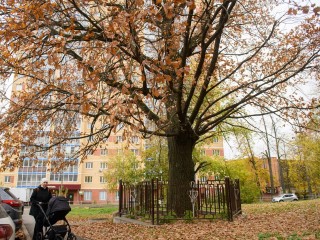 Как провести выходные всей семьей в Лыткарине 11 и 12 октября