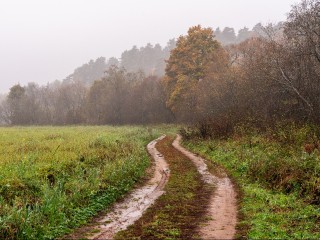 Золотая осень останется в Дмитрове до начала рабочей недели
