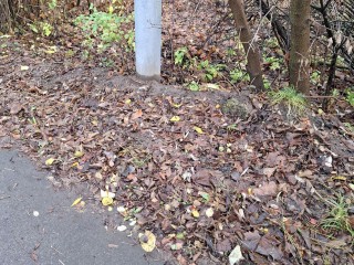 Мусор убрали на Фабричном проезде в Ивантеевке после угрозы написать на «Добродел»