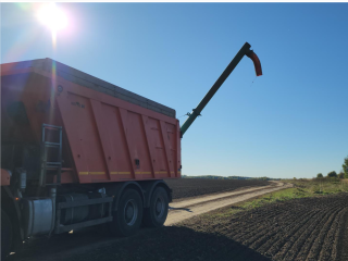 Более 500 гектаров в сутки: луховицкие аграрии демонстрируют высокие темпы сева озимых