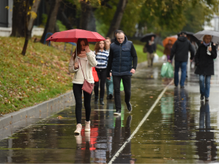 Дожди и похолодание до +9° к концу недели: синоптики рассказали о погоде в Подмосковье