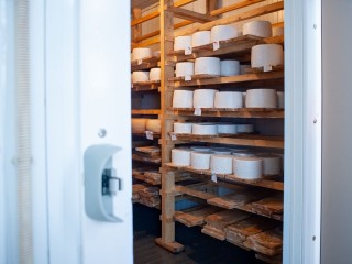 В Дмитрове построят завод, который будет выпускать 4,5 тыс. тонн сыра в год