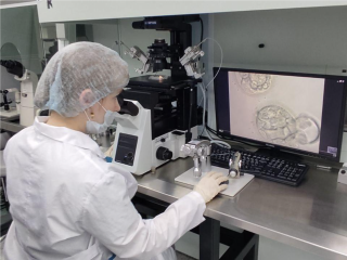 Пациенткам Балашихи бесплатно проведут тестирование эмбрионов для ЭКО