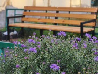 Новые лавочки и урны установили во дворах в Красной Пойме