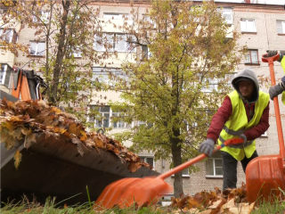 Опавшие листья в Серебряных Прудах превращают в ценный ресурс