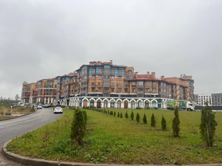 На месте пустыря в Николо-Урюпине обустроили цветочный луг и аллею