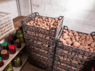 Раскрыто пять секретов долгого хранения картофеля