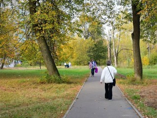 Народный календарь на 28 октября: что категорически запрещается делать на Ефимия Осеннего