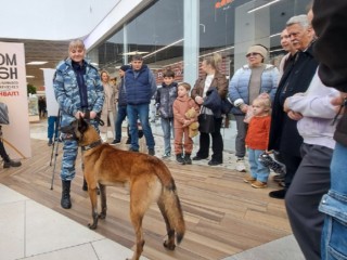 Не только ловят преступников: что еще рассказали пушкинские полицейские о своей службе