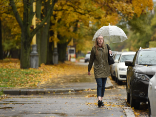 Аномально теплая погода с ливнями продлится в Подмосковье до этой даты ноября