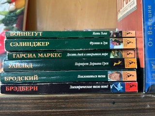 От зонтиков до яичной скорлупы: что можно сдать на переработку в Химках в ноябре