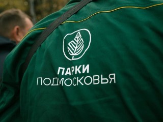 Парки Домодедово готовы к зиме: техника проверена, крошка закуплена