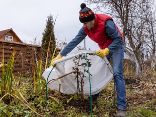 Лунный календарь садовода на 25 октября: уход за деревьями, обрезка и посадка гиацинтов