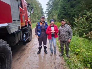 В лесах Подмосковья пропали свыше тысячи человек
