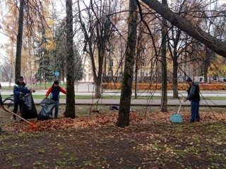 Листья желтые над городом кружатся: куда коммунальщики девают собранные вручную листья и как применяют их с пользой