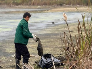 Пуговичинский пруд очистили от мусора