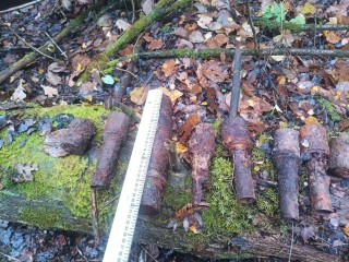 Взрывотехники обезвредили 17 боеприпасов времен ВОВ, найденных в Рузском округе