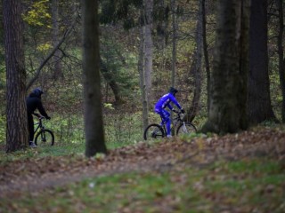В Одинцово пройдёт финал «Золотых колёс Подмосковья» по маунтинбайку