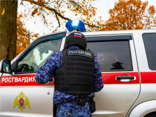 Парик не помог: как росгвардейцы Подмосковья задержали вора с фантазией
