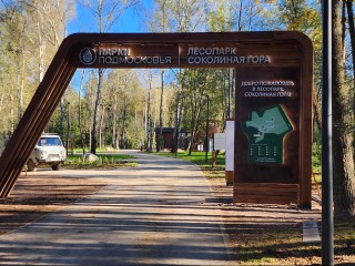 Лада Дэнс зажжет на открытии «Соколки»