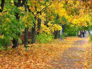 Неожиданное сравнение: Петербург проиграл деревням Подмосковья