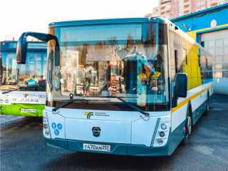 Дачники против морозов: когда в Подмосковье остановят сезонные маршруты и как доехать  до своего участка